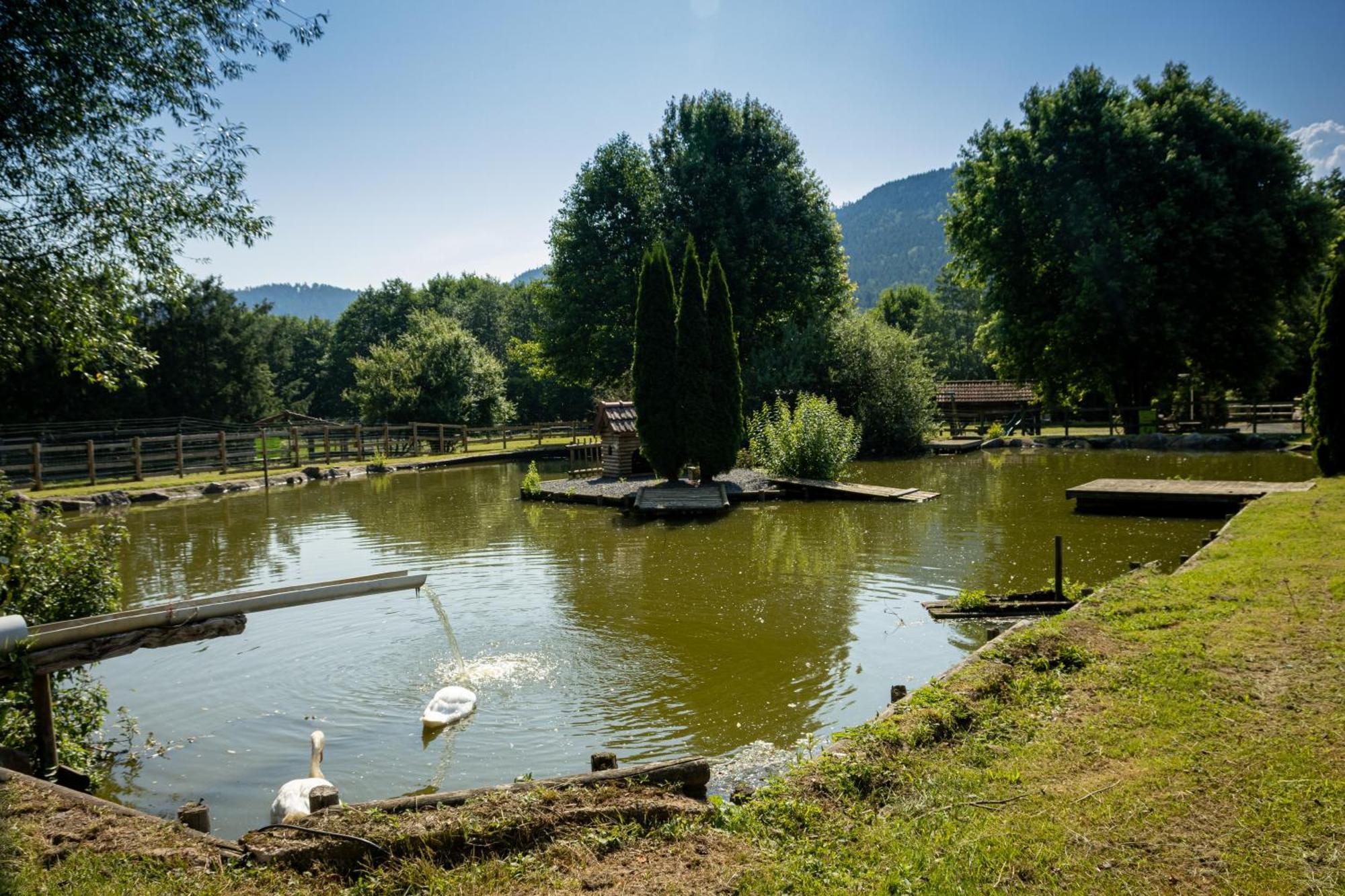Logis Hotel Le Regal & Spa Saint-Die-des-Vosges Exterior photo